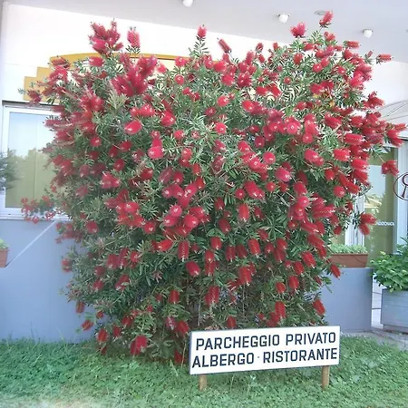 ホテル Filiberto 3*